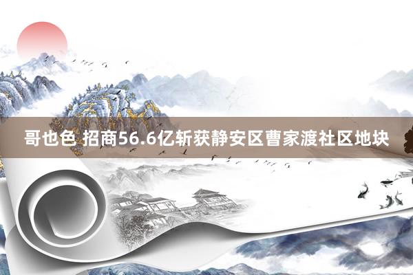 哥也色 招商56.6亿斩获静安区曹家渡社区地块