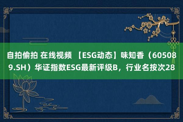 自拍偷拍 在线视频 【ESG动态】味知香（605089.SH）华证指数ESG最新评级B，行业名按次28