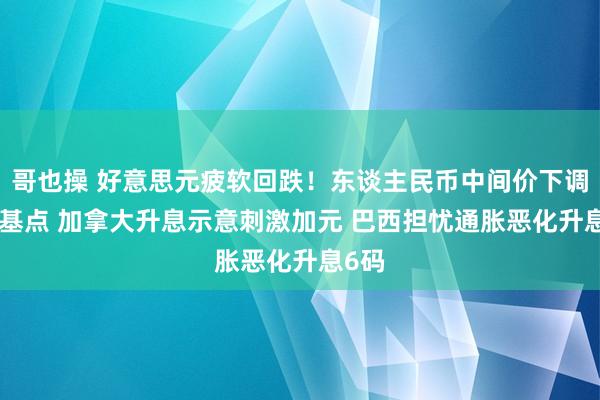 哥也操 好意思元疲软回跌！东谈主民币中间价下调101基点 加拿大升息示意刺激加元 巴西担忧通胀恶化升息6码