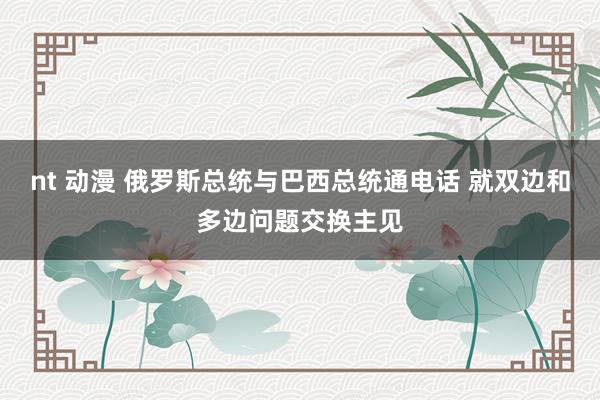 nt 动漫 俄罗斯总统与巴西总统通电话 就双边和多边问题交换主见