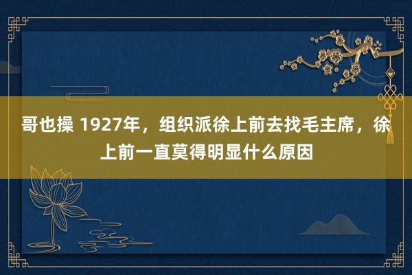 哥也操 1927年，组织派徐上前去找毛主席，徐上前一直莫得明显什么原因