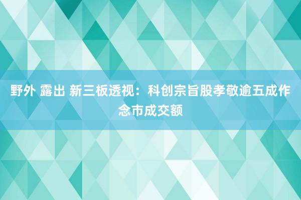 野外 露出 新三板透视：科创宗旨股孝敬逾五成作念市成交额