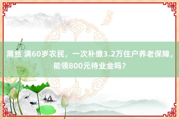 黑丝 满60岁农民，一次补缴3.2万住户养老保障，能领800元待业金吗？