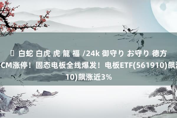 ✨白蛇 白虎 虎 龍 福 /24k 御守り お守り 德方纳米20CM涨停！固态电板全线爆发！电板ETF(561910)飙涨近3%