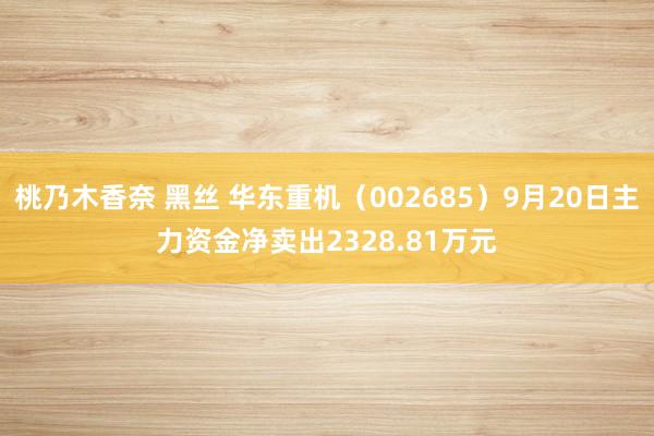 桃乃木香奈 黑丝 华东重机（002685）9月20日主力资金净卖出2328.81万元