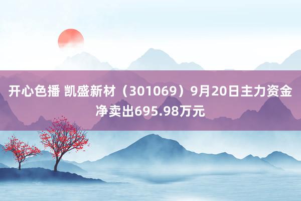 开心色播 凯盛新材（301069）9月20日主力资金净卖出695.98万元