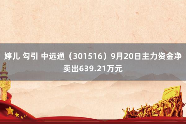 婷儿 勾引 中远通（301516）9月20日主力资金净卖出639.21万元