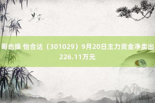 哥也操 怡合达（301029）9月20日主力资金净卖出226.11万元