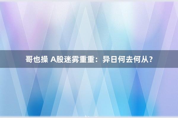 哥也操 A股迷雾重重：异日何去何从？