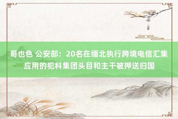 哥也色 公安部：20名在缅北执行跨境电信汇集应用的犯科集团头目和主干被押送归国