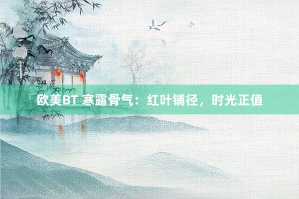 欧美BT 寒露骨气：红叶铺径，时光正值