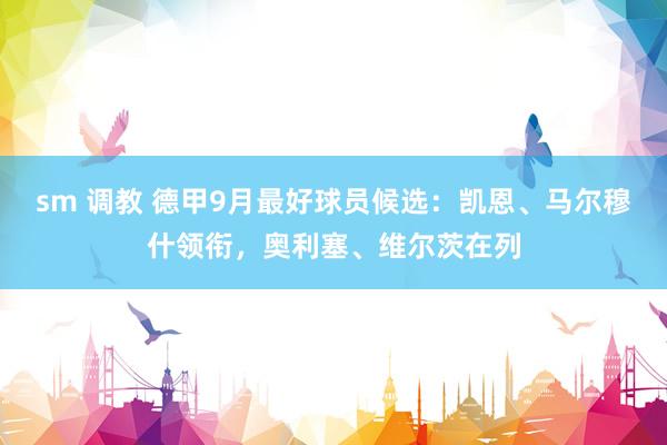 sm 调教 德甲9月最好球员候选：凯恩、马尔穆什领衔，奥利塞、维尔茨在列