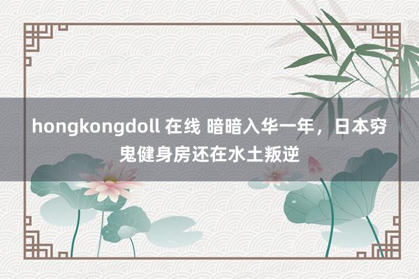 hongkongdoll 在线 暗暗入华一年，日本穷鬼健身房还在水土叛逆