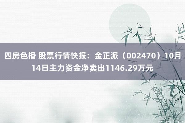 四房色播 股票行情快报：金正派（002470）10月14日主力资金净卖出1146.29万元