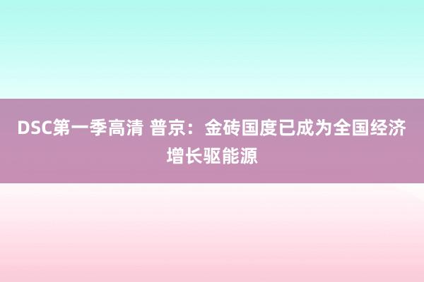 DSC第一季高清 普京：金砖国度已成为全国经济增长驱能源