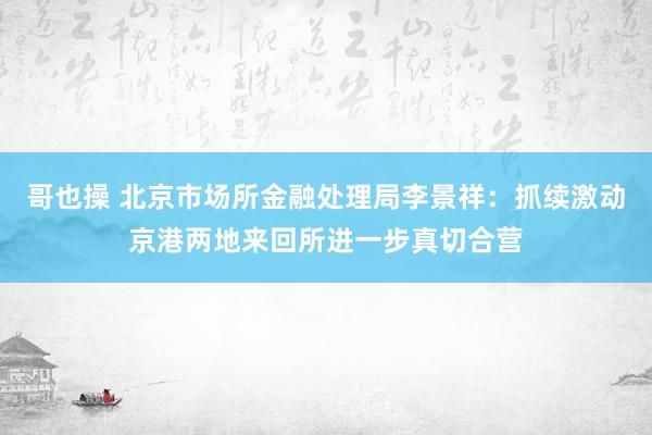 哥也操 北京市场所金融处理局李景祥：抓续激动京港两地来回所进一步真切合营