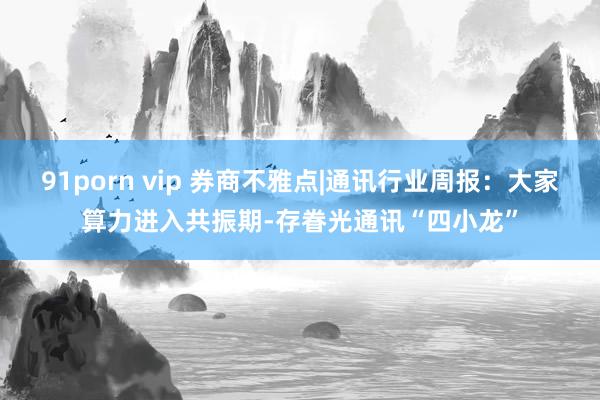 91porn vip 券商不雅点|通讯行业周报：大家算力进入共振期-存眷光通讯“四小龙”