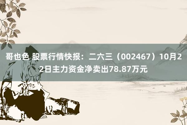 哥也色 股票行情快报：二六三（002467）10月22日主力资金净卖出78.87万元