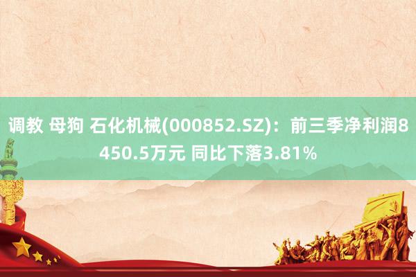 调教 母狗 石化机械(000852.SZ)：前三季净利润8450.5万元 同比下落3.81%