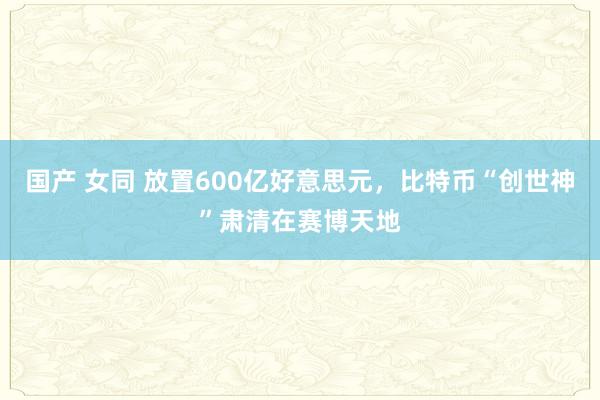 国产 女同 放置600亿好意思元，比特币“创世神”肃清在赛博天地