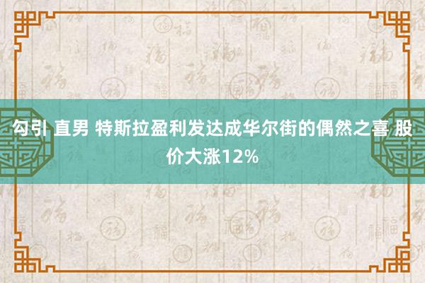 勾引 直男 特斯拉盈利发达成华尔街的偶然之喜 股价大涨12%