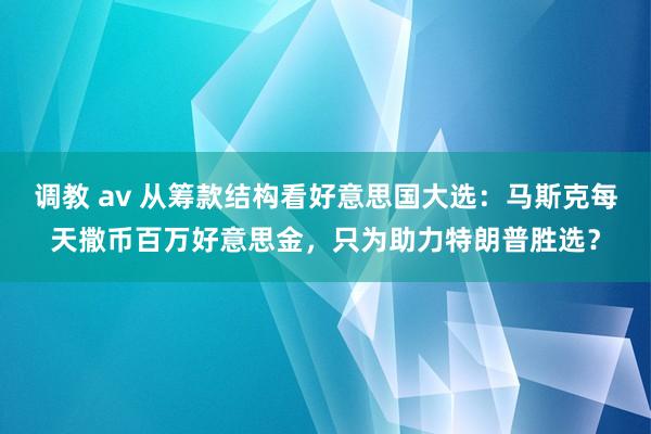 调教 av 从筹款结构看好意思国大选：马斯克每天撒币百万好意思金，只为助力特朗普胜选？