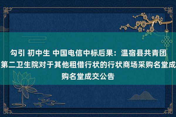 勾引 初中生 中国电信中标后果：温宿县共青团惩办区第二卫生院对于其他租借行状的行状商场采购名堂成交公告