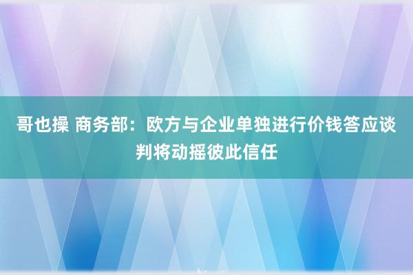 哥也操 商务部：欧方与企业单独进行价钱答应谈判将动摇彼此信任