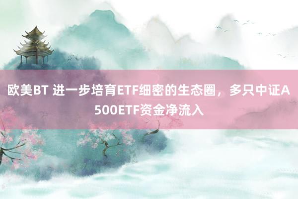 欧美BT 进一步培育ETF细密的生态圈，多只中证A500ETF资金净流入