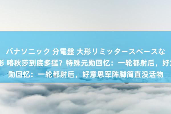 パナソニック 分電盤 大形リミッタースペースなし 露出・半埋込両用形 喀秋莎到底多猛？特殊元勋回忆：一轮都射后，好意思军阵脚简直没活物