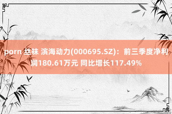 porn 丝袜 滨海动力(000695.SZ)：前三季度净利润180.61万元 同比增长117.49%