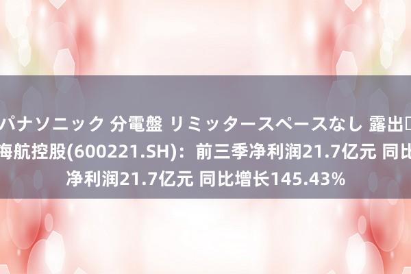 パナソニック 分電盤 リミッタースペースなし 露出・半埋込両用形 海航控股(600221.SH)：前三季净利润21.7亿元 同比增长145.43%