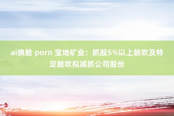 ai换脸 porn 宝地矿业：抓股5%以上鼓吹及特定鼓吹拟减抓公司股份