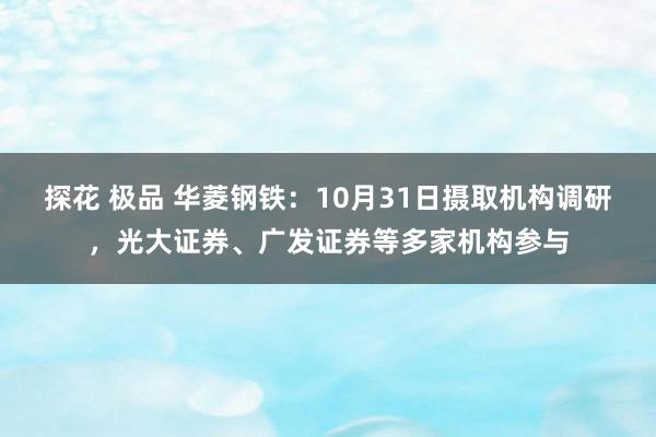 探花 极品 华菱钢铁：10月31日摄取机构调研，光大证券、广发证券等多家机构参与