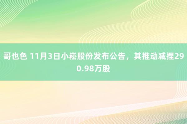 哥也色 11月3日小崧股份发布公告，其推动减捏290.98万股