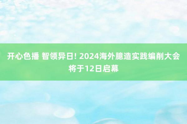 开心色播 智领异日! 2024海外臆造实践编削大会将于12日启幕