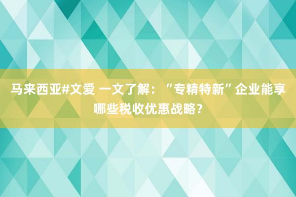 马来西亚#文爱 一文了解：“专精特新”企业能享哪些税收优惠战略？