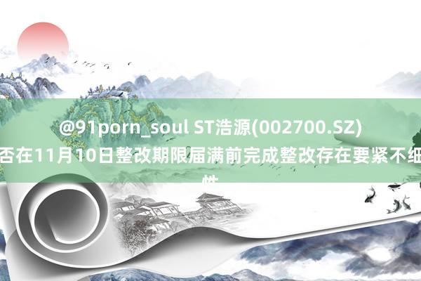 @91porn_soul ST浩源(002700.SZ)：能否在11月10日整改期限届满前完成整改存在要紧不细则性