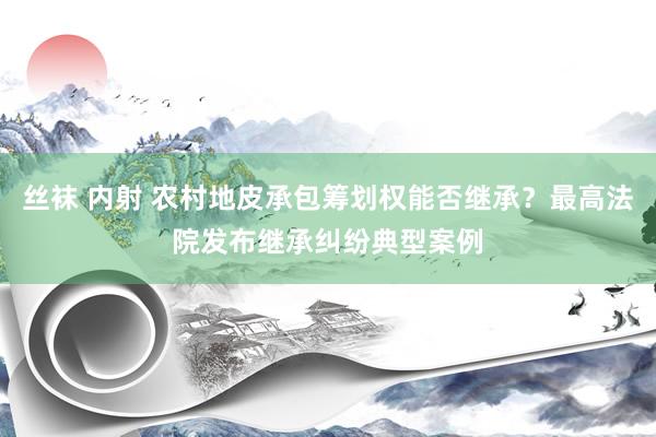 丝袜 内射 农村地皮承包筹划权能否继承？最高法院发布继承纠纷典型案例