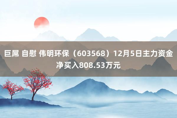 巨屌 自慰 伟明环保（603568）12月5日主力资金净买入808.53万元