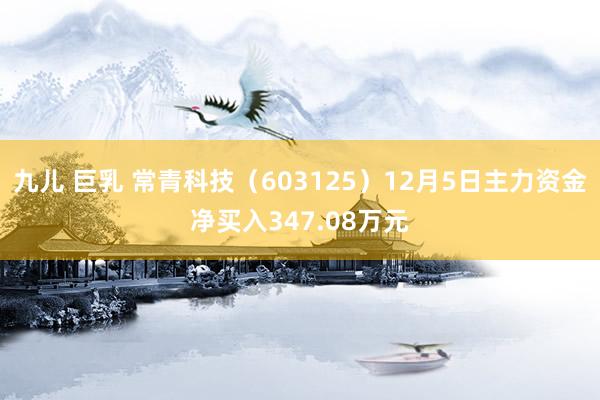 九儿 巨乳 常青科技（603125）12月5日主力资金净买入347.08万元