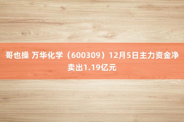 哥也操 万华化学（600309）12月5日主力资金净卖出1.19亿元