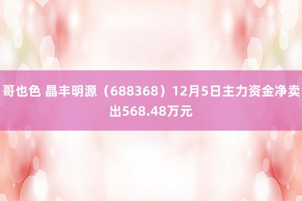 哥也色 晶丰明源（688368）12月5日主力资金净卖出568.48万元