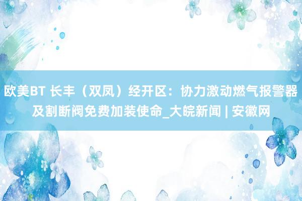 欧美BT 长丰（双凤）经开区：协力激动燃气报警器及割断阀免费加装使命_大皖新闻 | 安徽网