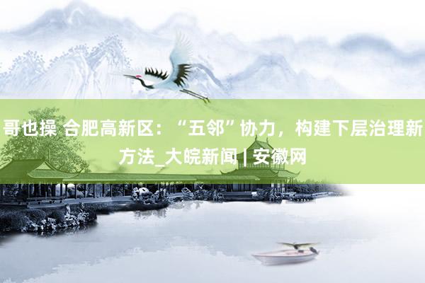 哥也操 合肥高新区：“五邻”协力，构建下层治理新方法_大皖新闻 | 安徽网