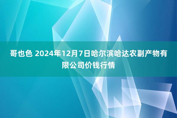 哥也色 2024年12月7日哈尔滨哈达农副产物有限公司价钱行情