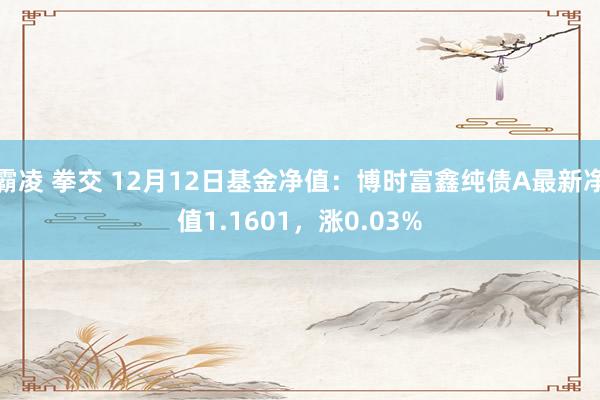 霸凌 拳交 12月12日基金净值：博时富鑫纯债A最新净值1.1601，涨0.03%