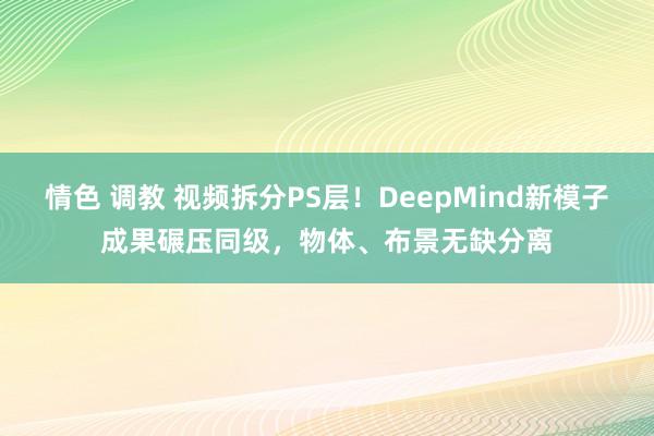 情色 调教 视频拆分PS层！DeepMind新模子成果碾压同级，物体、布景无缺分离