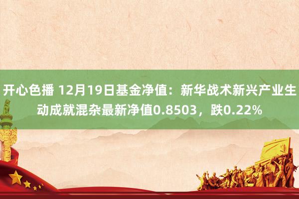 开心色播 12月19日基金净值：新华战术新兴产业生动成就混杂最新净值0.8503，跌0.22%