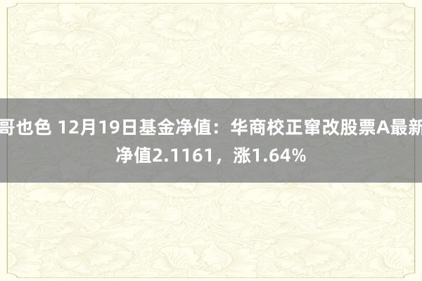 哥也色 12月19日基金净值：华商校正窜改股票A最新净值2.1161，涨1.64%